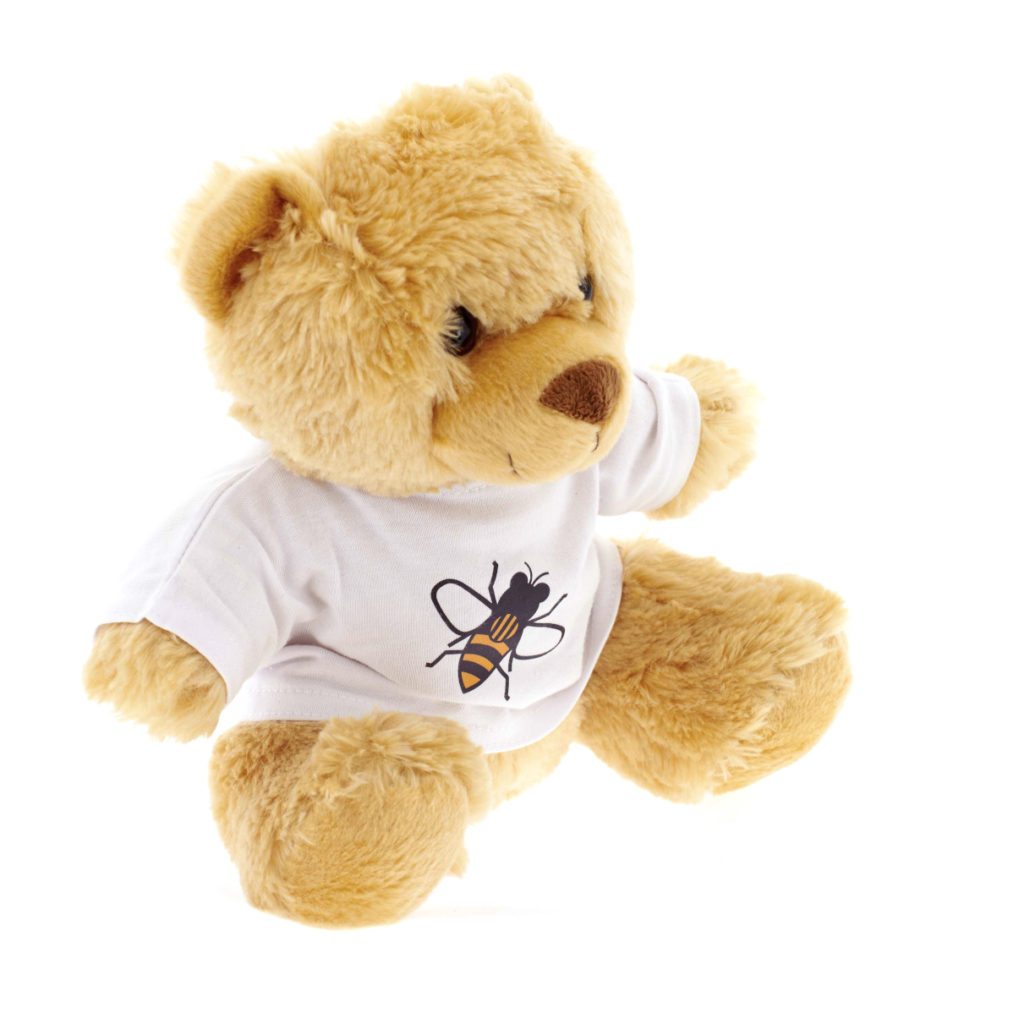 bee teddy